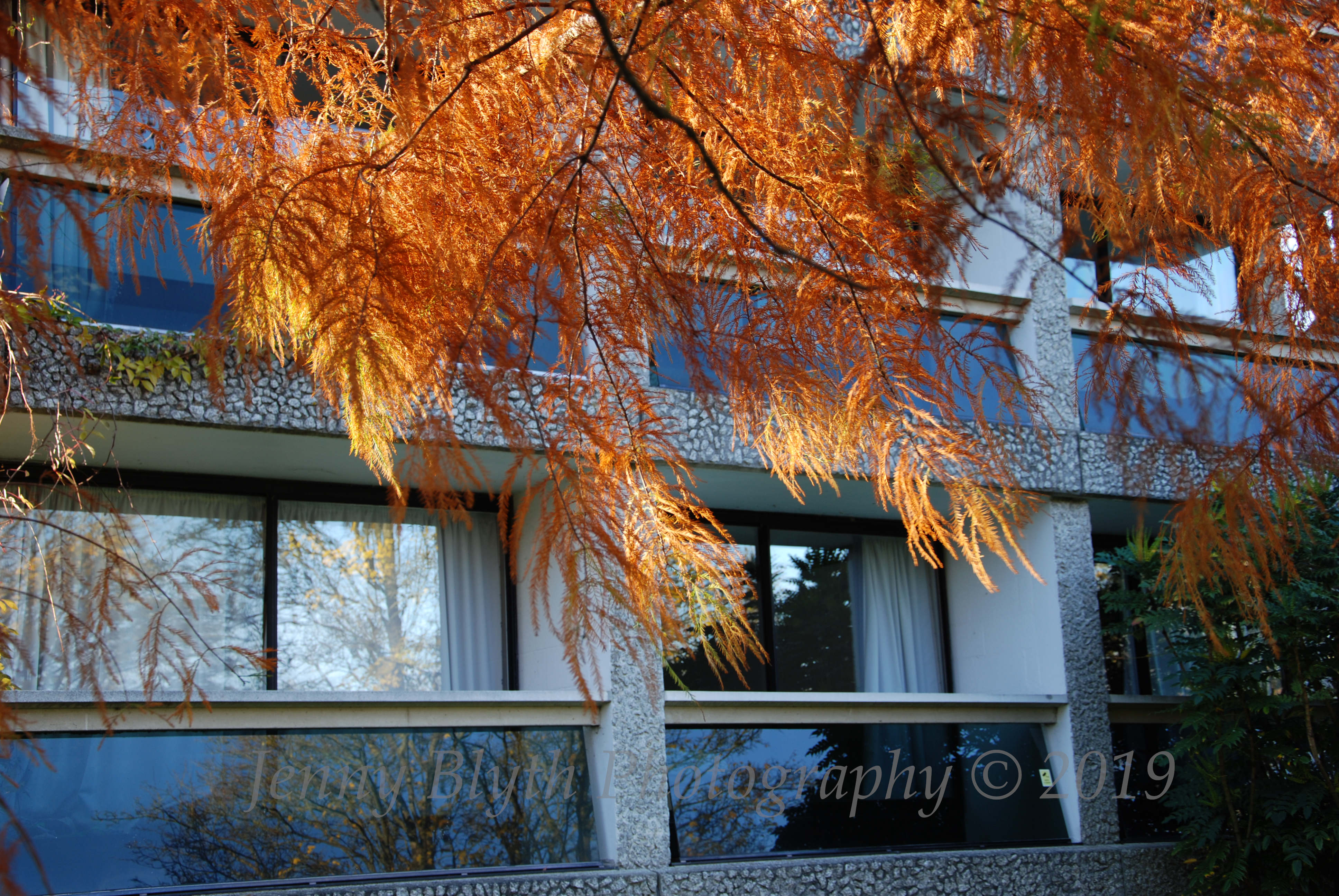 Reflections II, Rust & Blue 2018